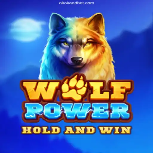 Discover the Exciting World of WolfPower and the OKOKAED.Com Brasil Experience